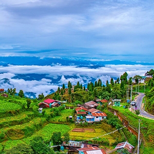 Darjeeling and Gangtok Tour